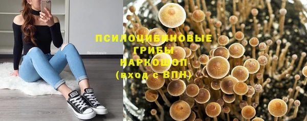 прущая мука Нефтегорск